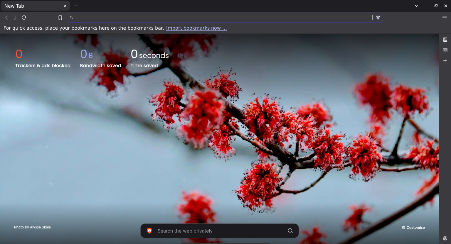 The Brave browser's interface after disabling all of the built-in advertising